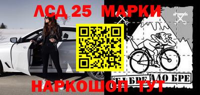 шишки Шахты