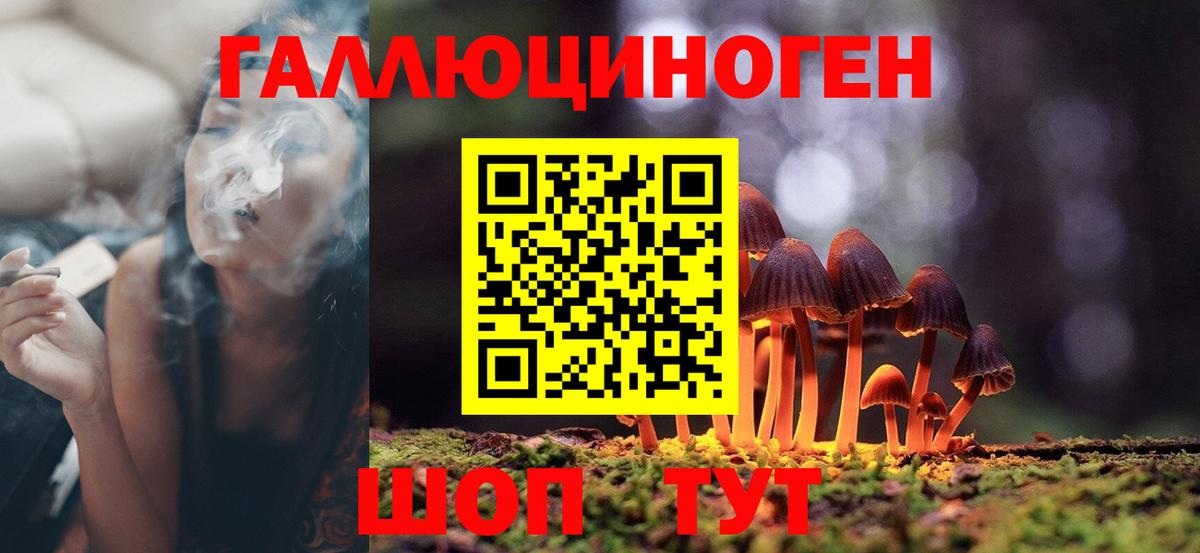 Галлюциногенные грибы Psilocybe  Псилоцибиновые грибы MAGIC MUSHROOMS  Вход с VPN  где можно купить   Белогорск 